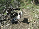 photo thumbnail #1