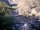 photo thumbnail #1