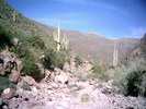 photo thumbnail #9