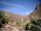 photo thumbnail #10