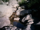 photo thumbnail #11