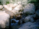 recent photo