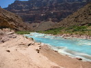 photo thumbnail #13