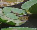 photo thumbnail #3