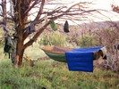 photo thumbnail #8
