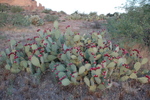 photo thumbnail #3
