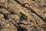 photo thumbnail #11