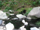 photo thumbnail #10