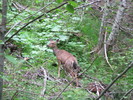 photo thumbnail #12