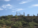 photo thumbnail #1
