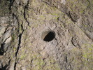 photo thumbnail #14
