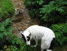 photo thumbnail #1
