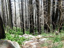photo thumbnail #2