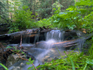 photo thumbnail #2