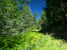 photo thumbnail #7