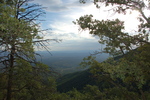 photo thumbnail #1