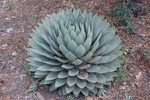 photo thumbnail #12