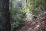 photo thumbnail #13