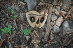 photo thumbnail #14