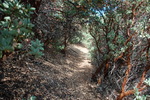 photo thumbnail #15