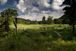 photo thumbnail #12