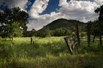 photo thumbnail #13
