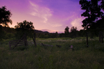 photo thumbnail #14
