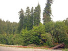 photo thumbnail #12