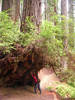 photo thumbnail #9