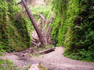 photo thumbnail #11