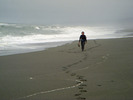 photo thumbnail #14