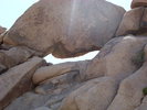 photo thumbnail #1