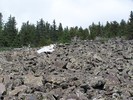recent photo