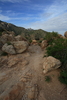 photo thumbnail #5