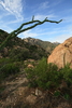 photo thumbnail #6