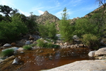 photo thumbnail #7