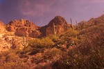 photo thumbnail #6