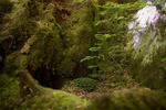 photo thumbnail #12