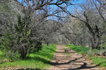 photo thumbnail #8