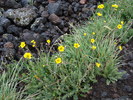 Featured Detail Photo