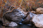 photo thumbnail #4
