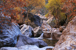 photo thumbnail #5