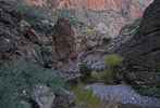 photo thumbnail #6