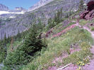 photo thumbnail #11
