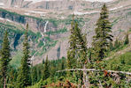 photo thumbnail #13