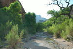 photo thumbnail #11