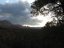 photo thumbnail #2