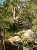 photo thumbnail #13