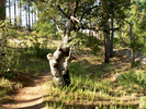 photo thumbnail #14