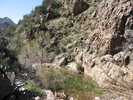 photo thumbnail #2